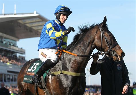 william hill grand national|Iba pa.